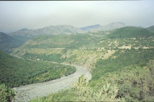 0080 TINGUIRIRICA.jpg